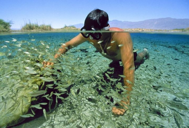 Explora y sorprendete